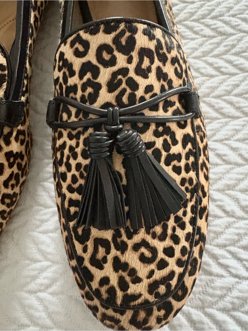 Talbots Leopard Print Tassel Loafers in calf leather Woman’s size 10M NEW - Picture 2 of 7